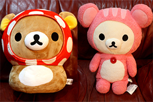 Forest Series Net Shop Exclusive